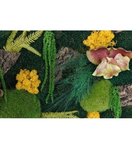 Fresque végétale stabilisée Honfleur