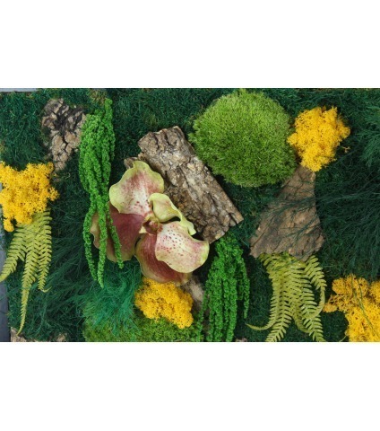 Fresque végétale stabilisée Honfleur