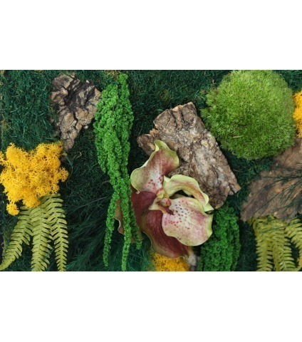 Fresque végétale stabilisée Honfleur