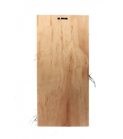 Tableau végétalisé haut Etretat