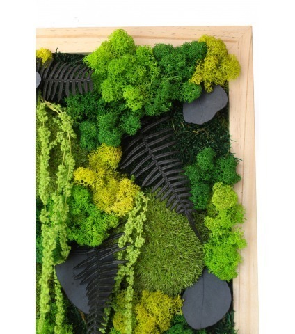 Grand tableau végétal stabilisé Dieppe