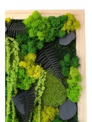 Grand tableau végétal stabilisé Dieppe 35 cm - Tableau végétal