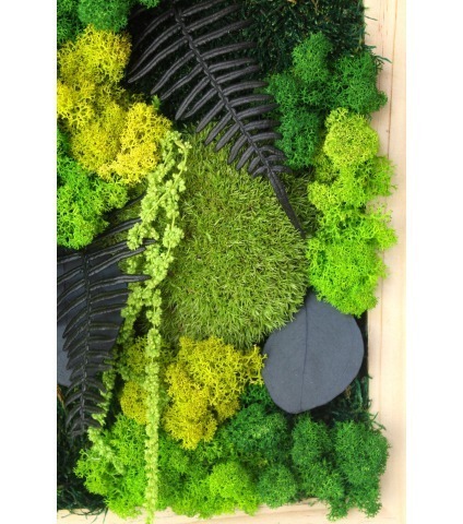 Grand tableau végétal stabilisé Dieppe