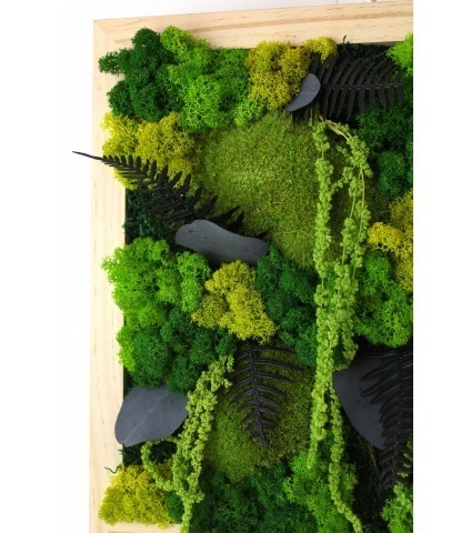 Grand tableau végétal stabilisé Dieppe