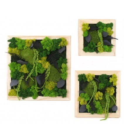 Grand tableau végétal stabilisé Dieppe