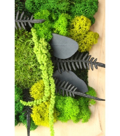 Petit tableau végétal stabilisé Dieppe