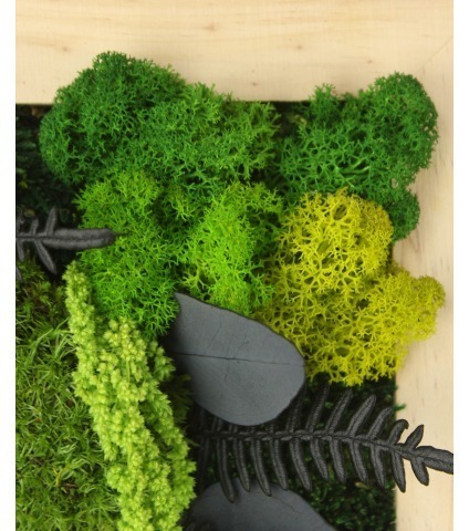 Petit tableau végétal stabilisé Dieppe