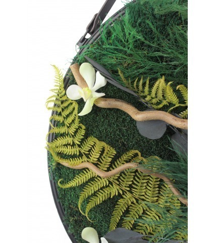 Grand cadre végétal stabilisé Beuvron