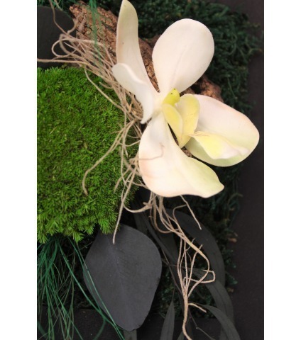 Petit tableau végétal stabilisé Saint Lô