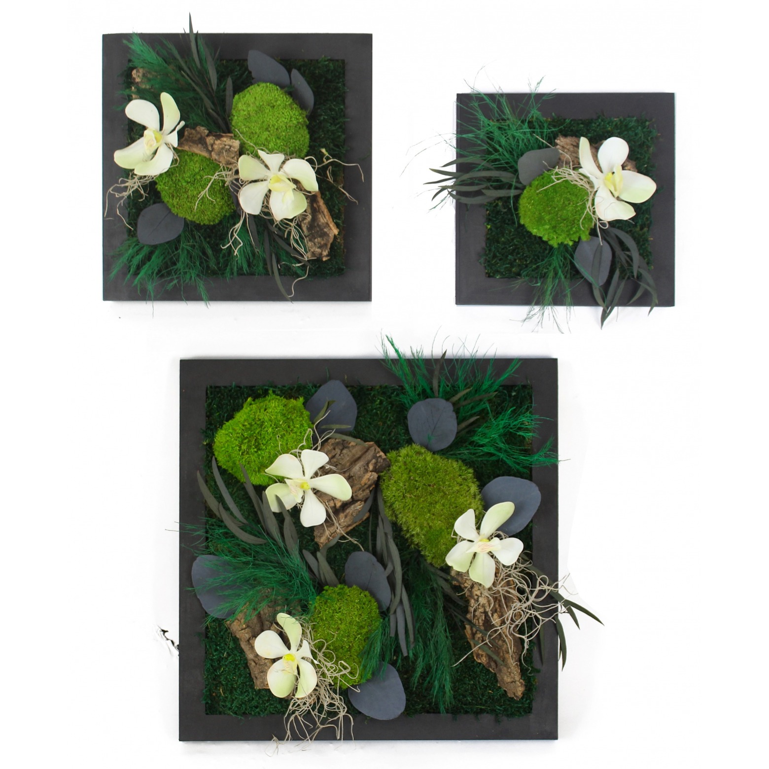 Tableaux végétaux stabilisés - Faites une fleur