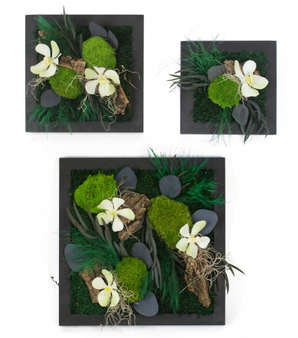 Tableau végétal stabilisé Saint-Lô moyen