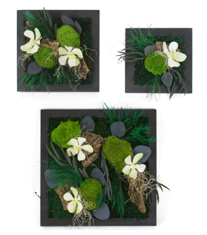 Tableau végétal stabilisé Saint-Lô moyen