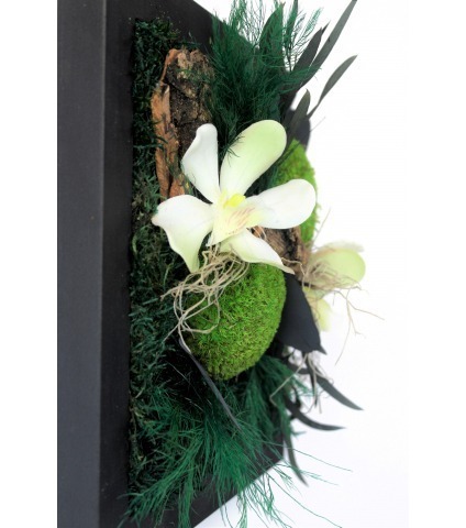 Tableau végétal stabilisé Saint-Lô moyen