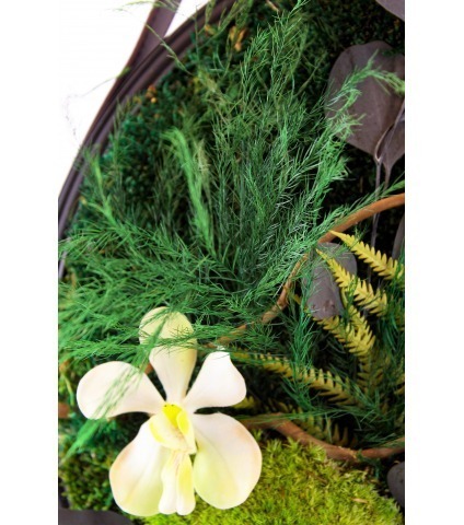 Cadre végétal stabilisé Beuvron