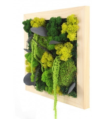 Tableau végétal stabilisé Dieppe