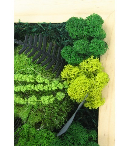 Tableau végétal stabilisé Dieppe