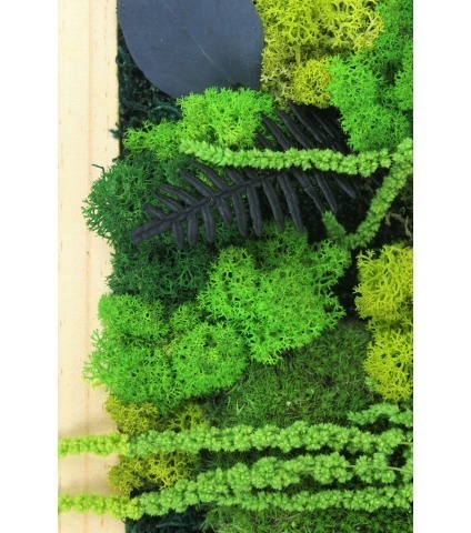 Tableau végétal stabilisé Dieppe