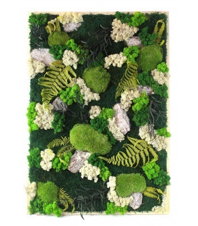 Tableau végétal stabilisé Falaise