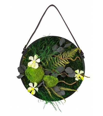 Cadre végétal stabilisé Beuvron