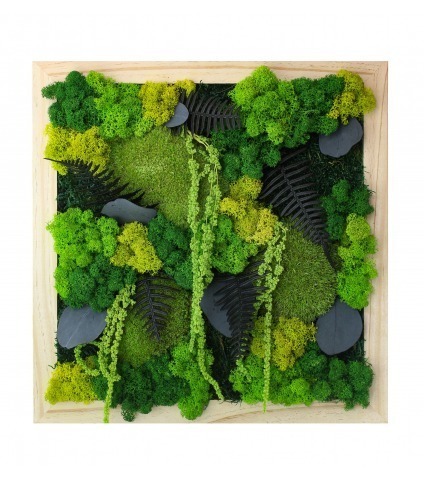 Grand tableau végétal stabilisé Dieppe