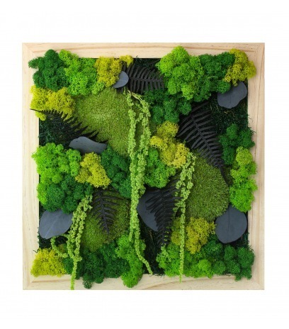 Grand tableau végétal stabilisé Dieppe