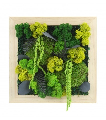 Tableau végétal stabilisé Dieppe