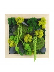 Tableau végétal stabilisé Dieppe