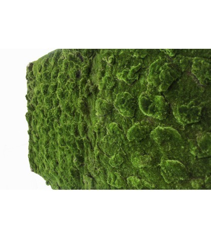 Rouleau de mousse artificielle