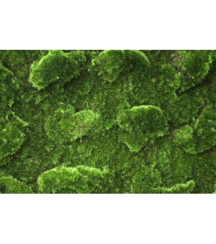 Rouleau de mousse artificielle