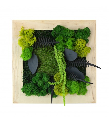 Petit tableau végétal stabilisé Dieppe