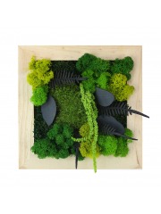 Petit tableau végétal stabilisé Dieppe