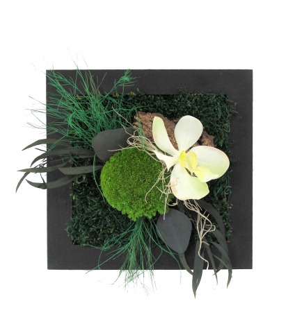 Petit tableau végétal stabilisé Saint-Lô