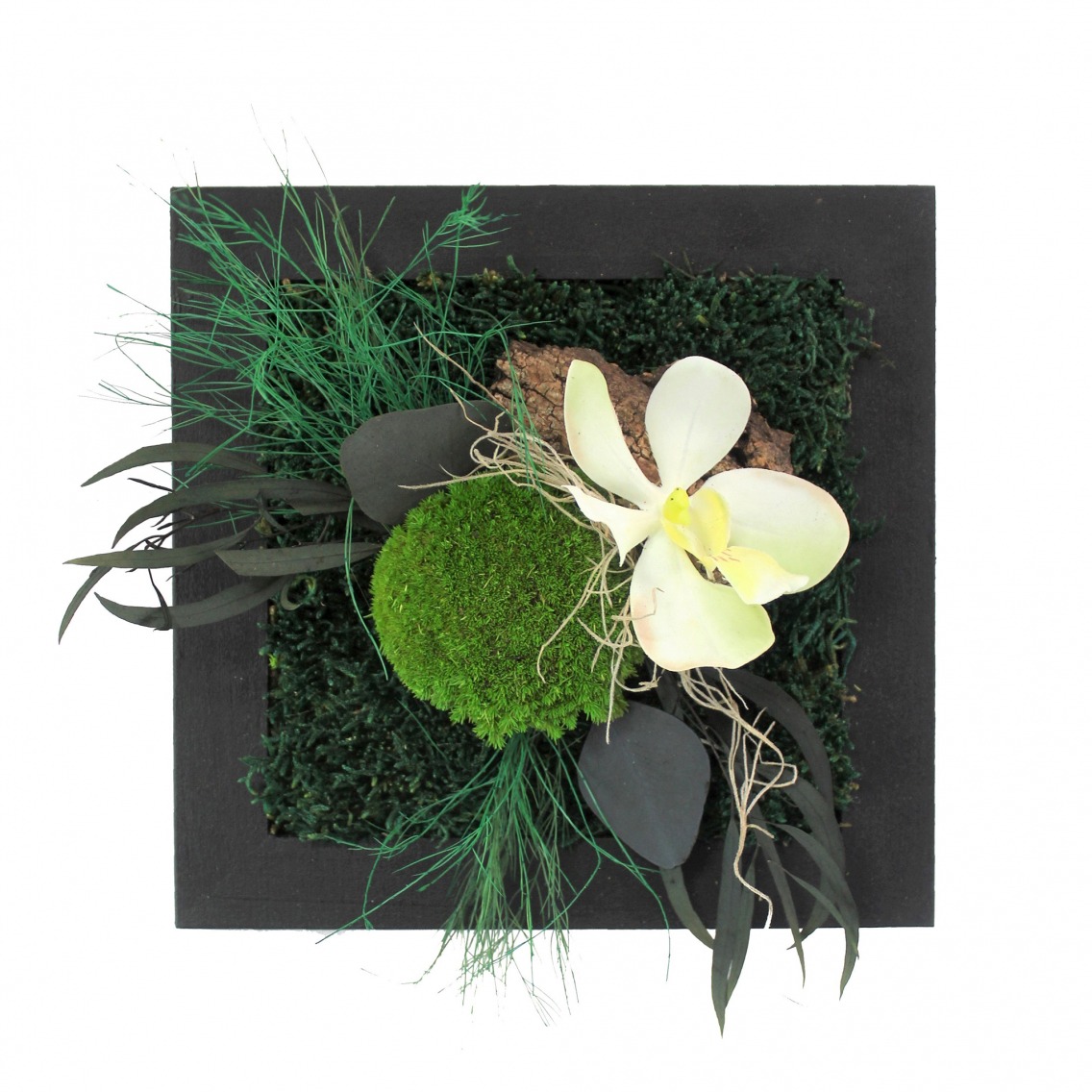 Petit tableau végétal stabilisé Saint Lô 20 cm - Tableau végétal