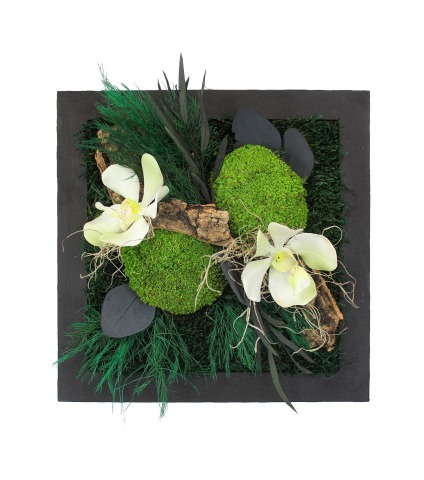 Tableau végétal stabilisé Saint-Lô moyen