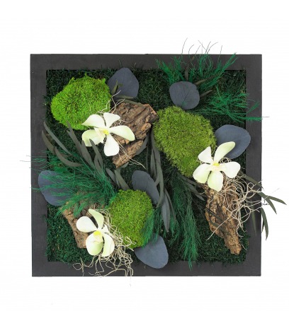 Grand tableau végétal stabilisé Saint-Lô