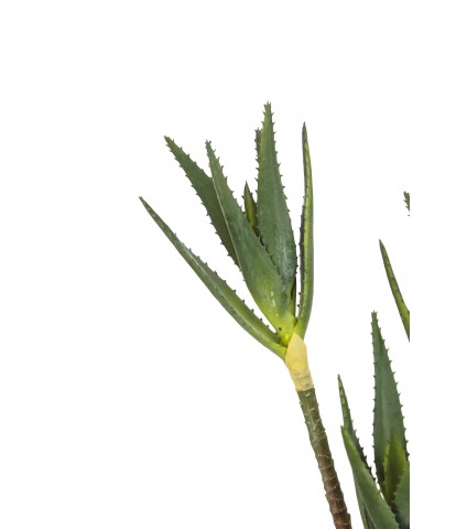 Aloe cactus artificiel trois pieds