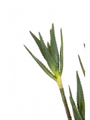 Aloe cactus artificiel trois pieds