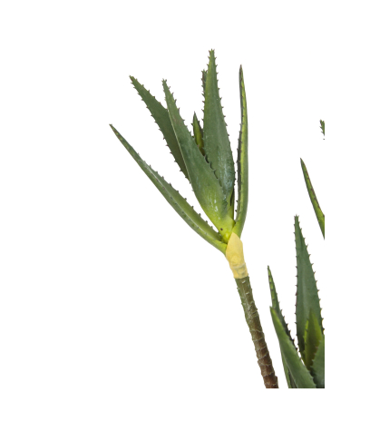 Aloe cactus artificiel trois pieds