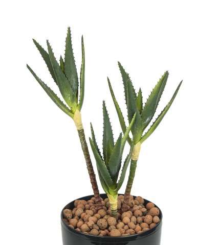 Aloe cactus artificiel trois pieds