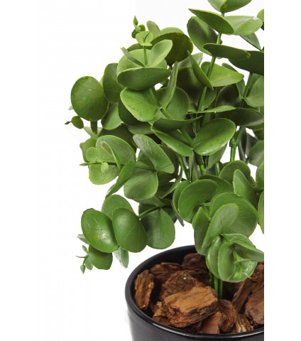 Petit eucalyptus artificiel
