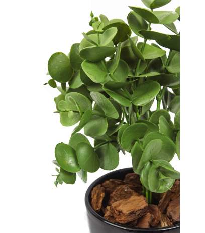 Petit eucalyptus artificiel