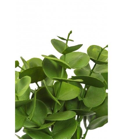 Petit eucalyptus artificiel