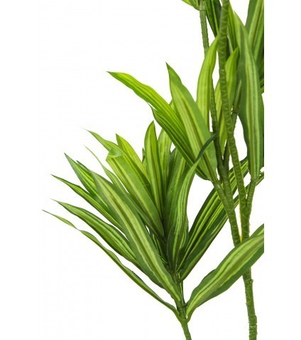 Dracaena artificiel sur tige