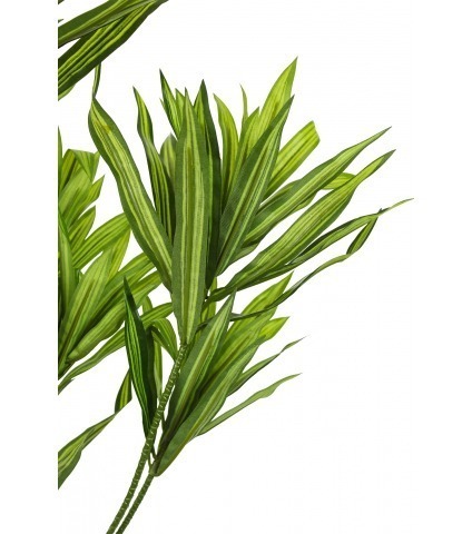 Dracaena artificiel sur tige