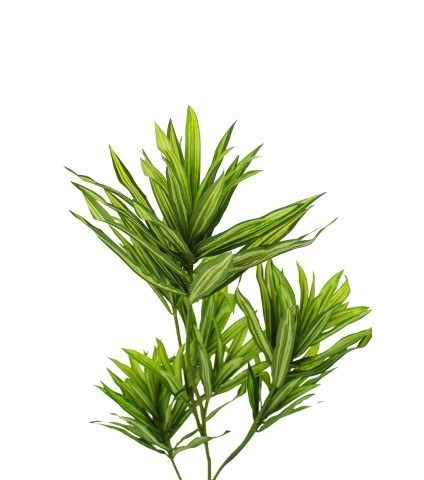 Dracaena artificiel sur tige