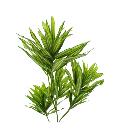 Dracaena artificiel sur tige