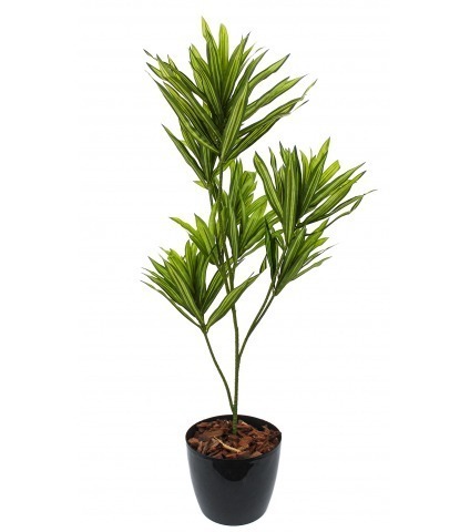 Dracaena artificiel sur tige