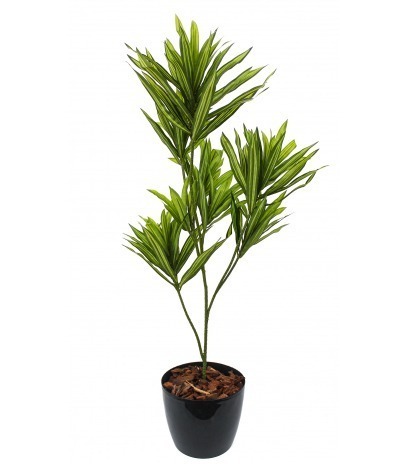 Dracaena artificiel sur tige