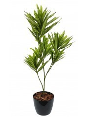 Dracaena artificiel sur tige