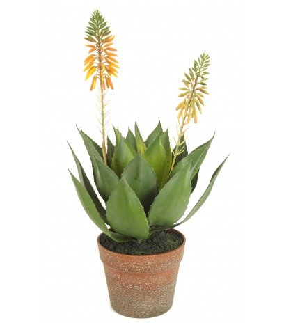 Agave fleuri artificiel